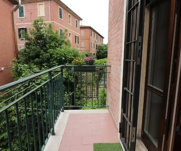 Am Liv' בולוניה